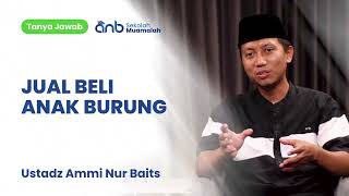 QnA SMA - Jual Beli Anak Burung - Ustadz Ammi Nur Baits