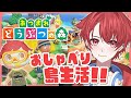 【あつ森】島クリ…どうしようか！！！｜初見さん大歓迎◎ #あつまれどうぶつの森 #雑談 