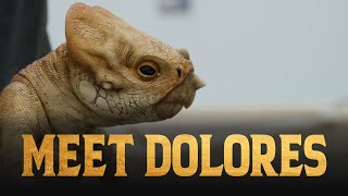 Jurassic World: Rebirth - Meet Dolores