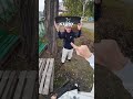 Jak wymienić griptape w hulajnodze 🛴#scootive #skateboarding #skate #hulajnoga #tricks #bartoskroba