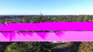 Color bars on DJI GO app with Phantom 4 screenshot 3