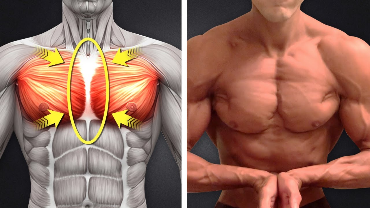 The MIDDLE Chest Solution (GET DEFINED PECS!) 