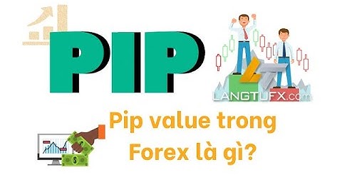 Pip Là Gì? Hướng Dẫn Cách Tính Pip Trong Forex