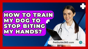 How To Train My Dog To Stop Biting My Hands? - PetGuide360.com