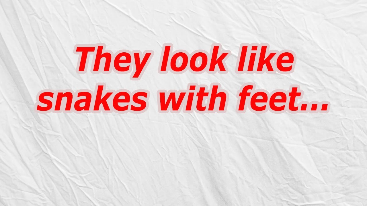 They look like snakes with feet (CodyCross Answer/Cheat) YouTube