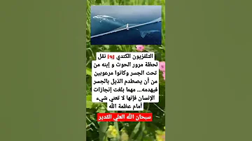 حالات واتس اب عن البحار و المحيطات 