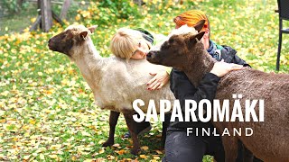 This Is An Animal Heaven - Sanctuary For Farm Animals In Finland