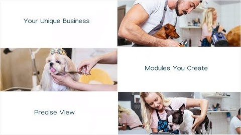 Claritysoft Custom Modules