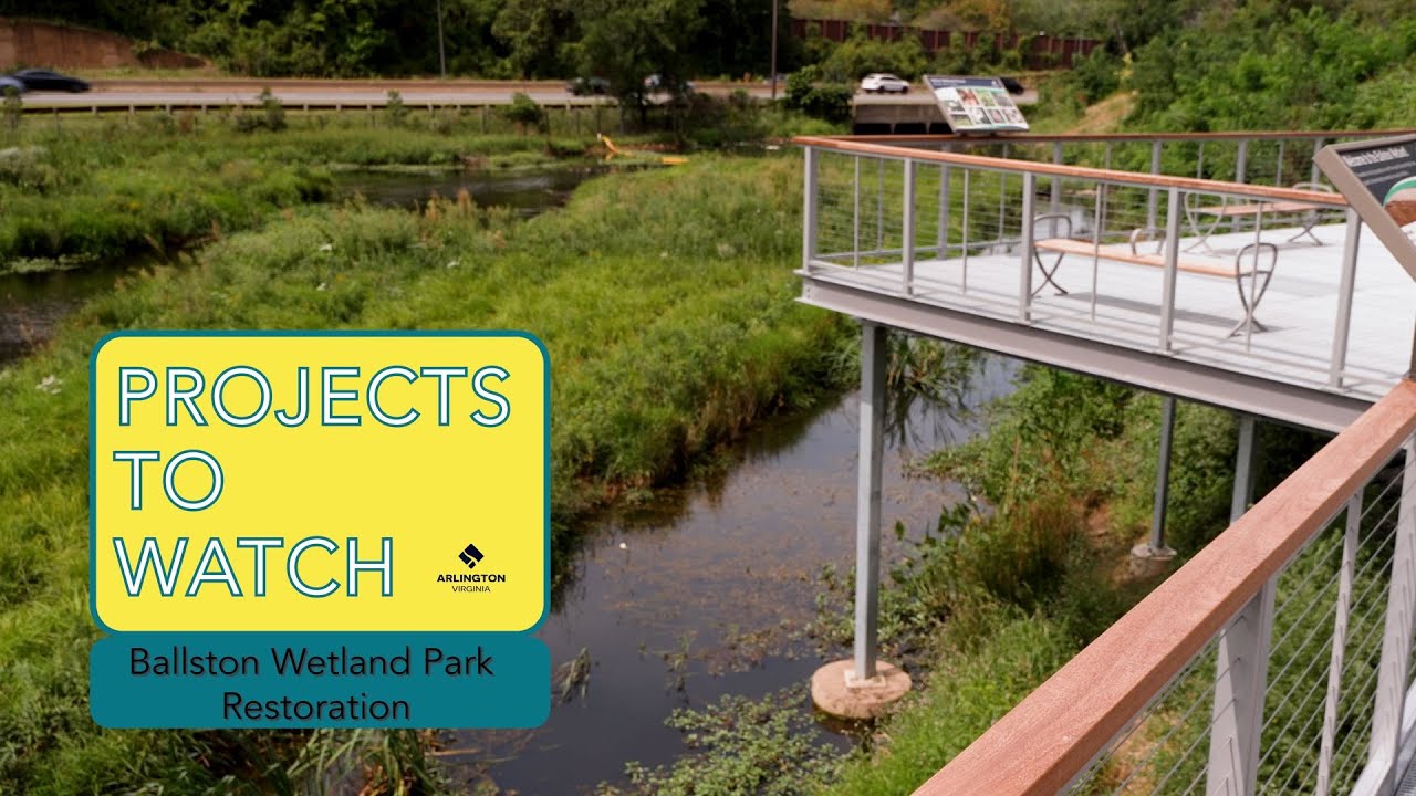 Projects To Watch Ballston Wetland Park YouTube