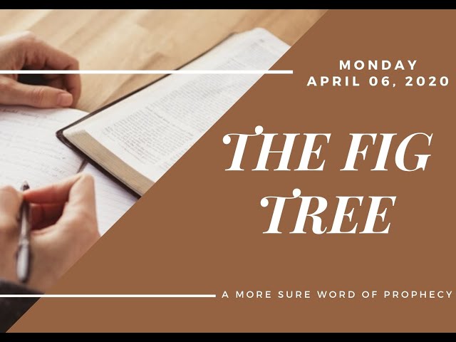 (06-04-2020) The Fig Tree