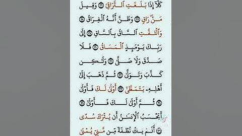 سورة القيامه بصوت علاء عقل إصدار جديد Surat Al-Qiyamah (  By Alaa Aqel  The Resurrection)