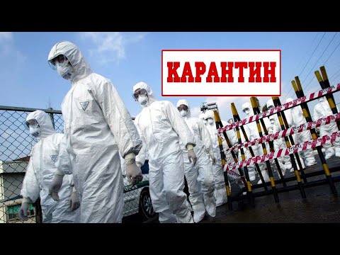 Приколы про карантин |Веселые ролики про карантин 2020| Чем заняться на карантине #2