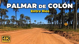 Paseo Relajante por el PALMAR DE COLÓN (Driving Tour) | ENTRE RIOS 🇦🇷