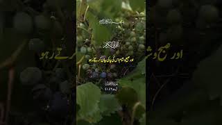 سورہ الاحزاب #youtubeshorts #viral #allah #love #quraninurdu #serenesoul #alquran #nature