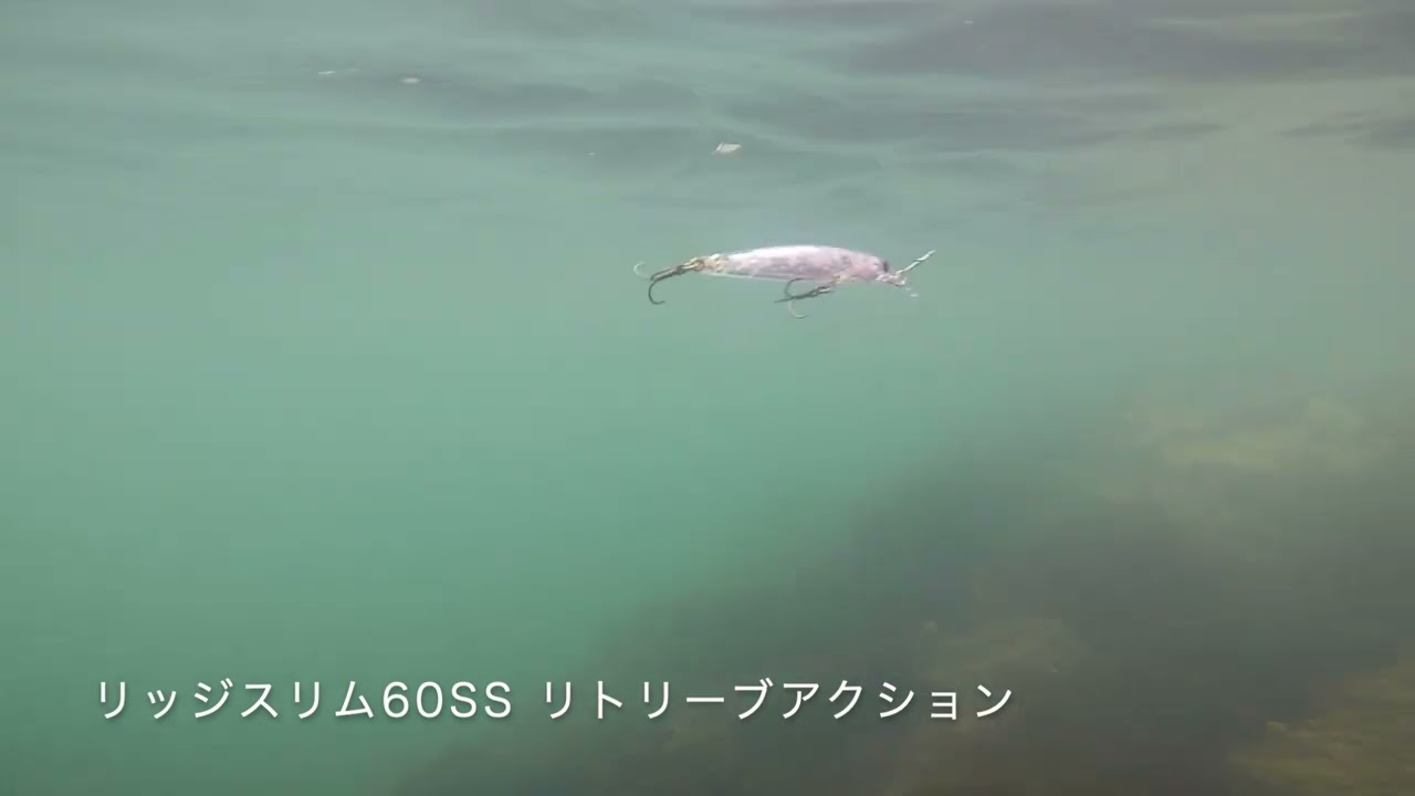 メバリング用プラグおすすめ18選！水中映像で丸裸にしてみた | TSURI