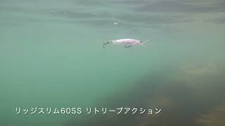 リッジスリム60SS アクション