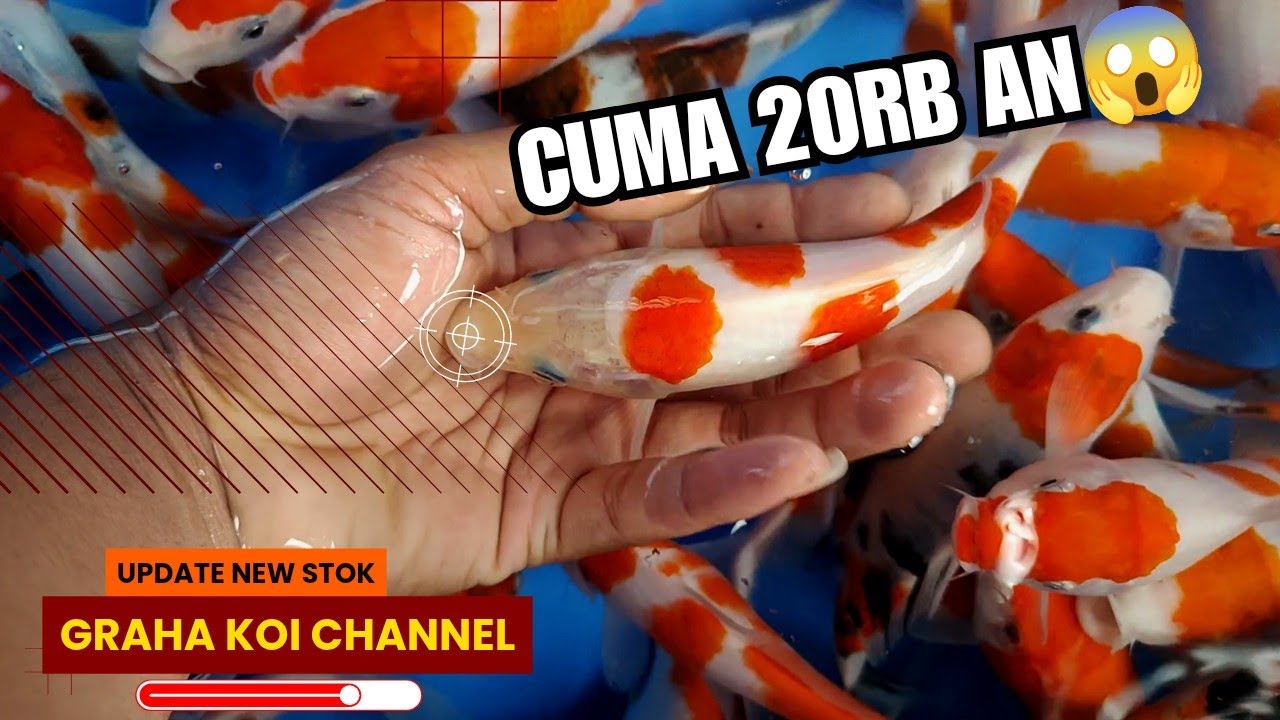 Eps 28‼️Cepet - Cepet an,, Ada rivew stok murmer & gratis ongkir di akhir tahun ini😱🥰