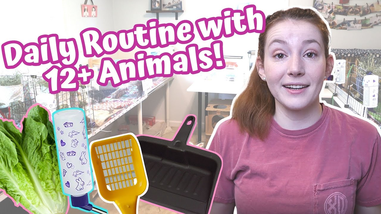 ⁣Daily Pet Routine 2021 // Taking Care of 13 Animals!