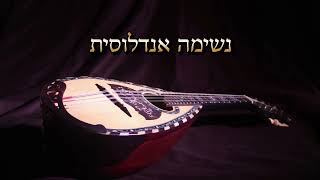 נשימה אנדלוסית #music #insrumental #מוזיקהמרגיעה#song