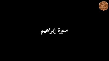سورة إبراهيم للشيخ محمد زكريا بمسجد طارق بن زياد بإمبابة في صلاة التراويح رمضان