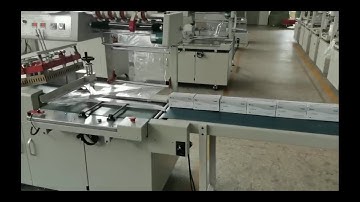 Shrink Wrap Machine for Face Mask Carton