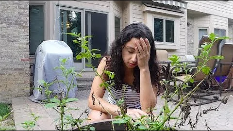 The Message of this Video is Worth 5 Minutes of Yo...