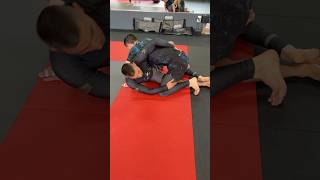 Butterfly Sweep from Octopus Guard