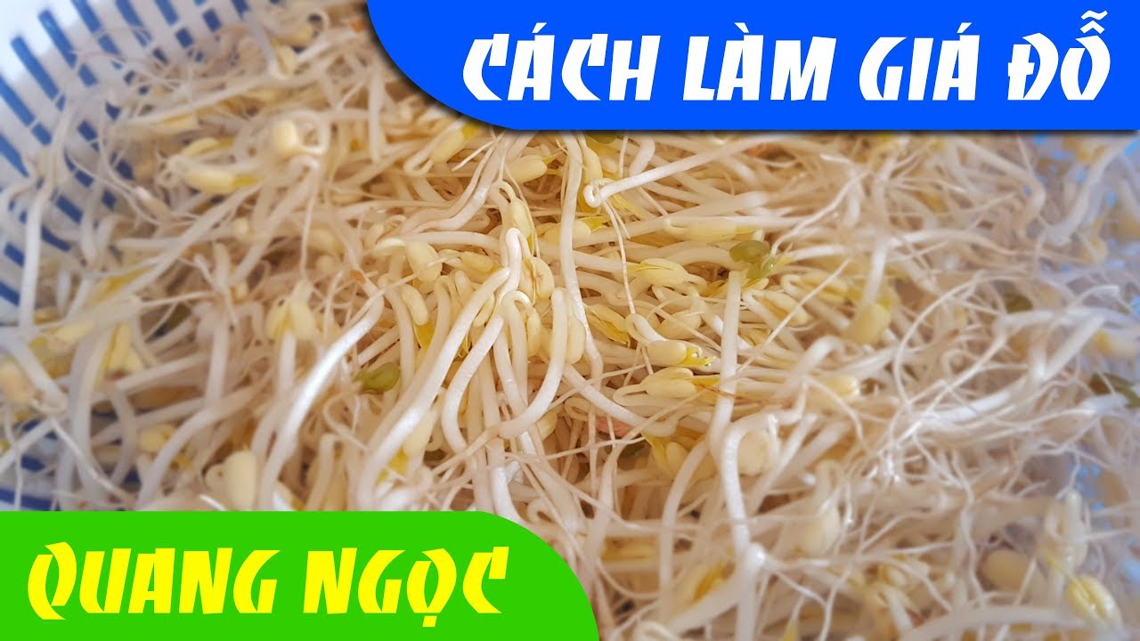 3 Cách Làm Giá Đỗ (Đậu Xanh) Dễ Nhất Quả Đất Ai Cũng Làm Được - Món ...