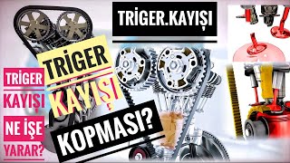 Triger Kayıșı Koparsa Ne Olur? | Triger Kayıșı Değişimi | Triger Kayıșı Ne İșe Yarar? | by Ertuğrul ATEŞ 358 views 3 years ago 2 minutes, 59 seconds