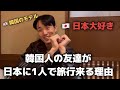 韓国人が日本に1人で旅行を来る理由！（日本生活日記）