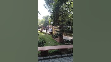 Got my degree🎓💗| DU NCweb Miranda House | North Campus #delhiuniversity #mirandahouse #ncweb #degree