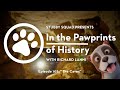 STUBBY SQUAD Presents: In the Pawprints of History, Episode 03 – &quot;The Caves&quot; Trailer