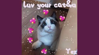 Download Lagu 我喜欢你的猫和你