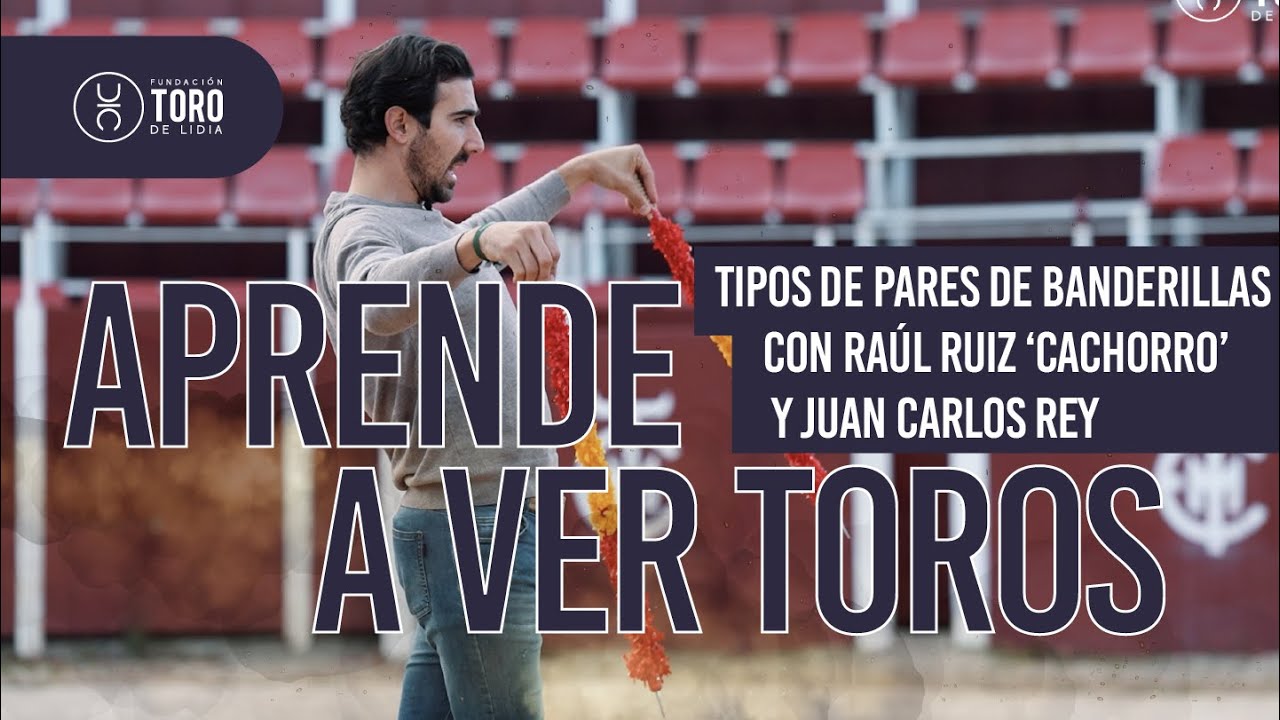 Tipos de pares de banderillas, con Cachorro y Juan Carlos Rey | APRENDE A VER TOROS