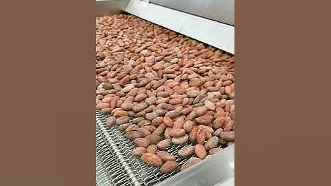 Cocoa Nib Roaster|Cacao Bean Roasting Machine