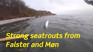 Seatrout fishing on Møn and Falster