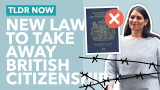 The Controversial "Nationality and Borders Bill" Explained - TLDR News