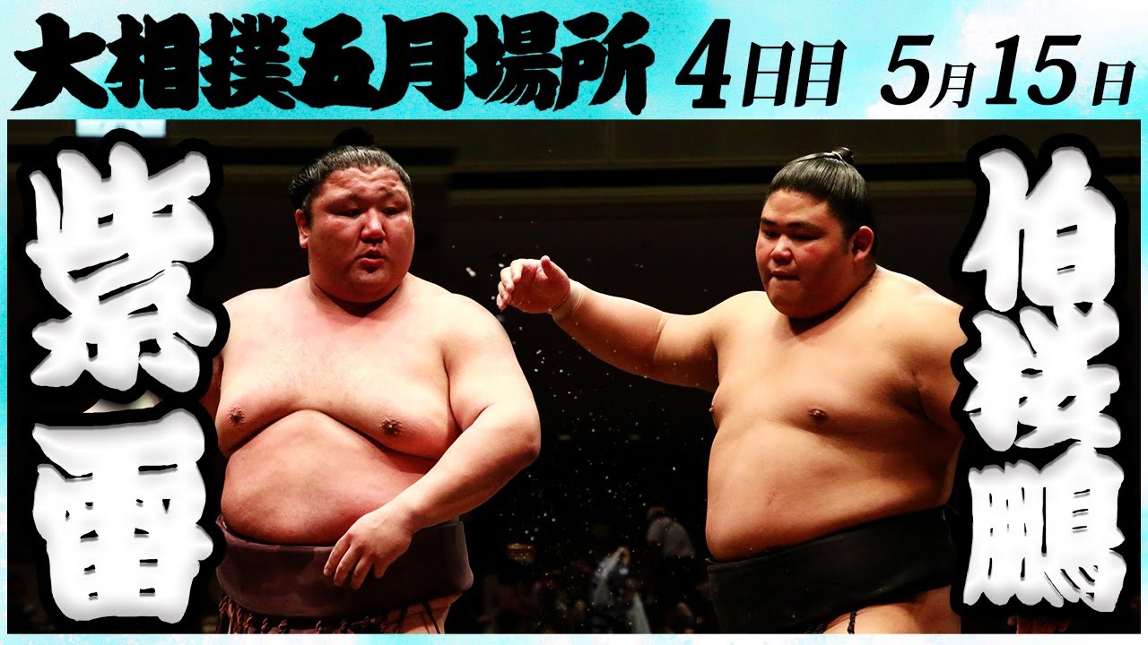 大相撲力士 相撲人形 レア 5枚セット 大相撲力士 相撲人形 レア 5枚セット