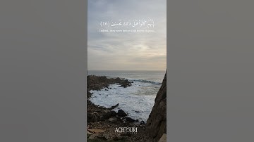 🌳 ﴿وَبِالْأَسْحَارِ هُمْ يَسْتَغْفِرُونَ﴾ [ سورة الذاريات ]