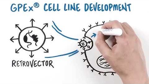 GPEx® Boost: The Next Generation of Cell Line Development