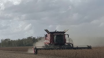 case ih 8230 with 35ft macdon draper head harvesting soybeans 2020