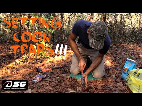 SETTING DUKE DOG PROOF COON TRAPS!!! 🦝 **1st CATCH OF THE SEASON** - TRAPPING - VLOG