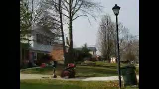 Arbortech Louisville Ky Tree coming down