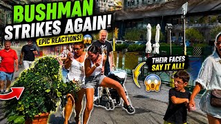 Bushman Prank The Funniest Bushman Reactions Ever