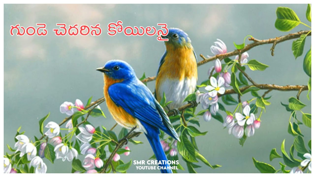 Gudu leni Guvvala daritappithi song Telugu Christian song