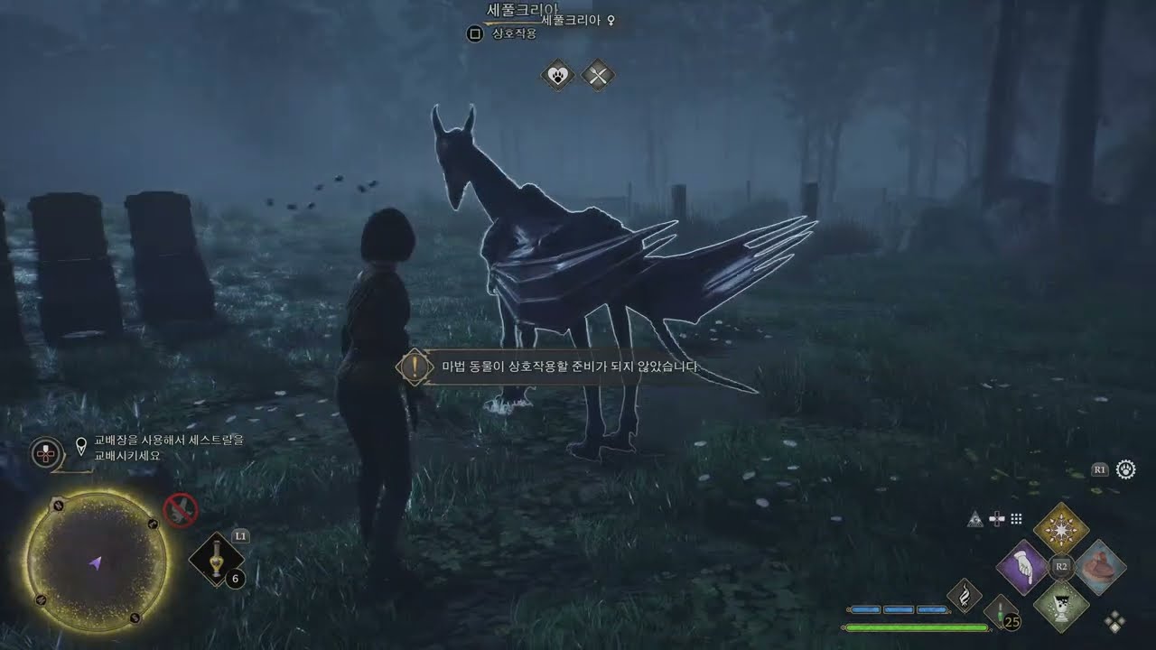 호그와트 레거시-카티야 Day 17: 죽은 자의 망아지 (보조/관계)진행중/밤도둑 (보조/관계)완료 - YouTube