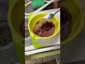 猫たち(🐈🐍🐢)の朝のお世話ルーティン