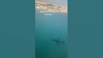Кипр. Нападении акулы на самолет🦈