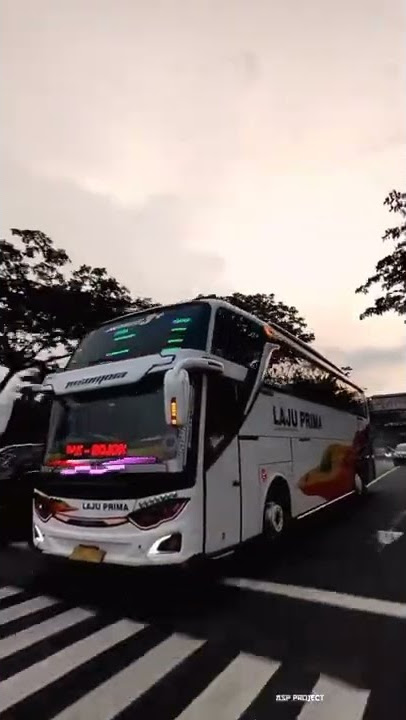 STORY WA BUS AKAP PO LAJU PRIMA [ INSOMNIA ] TERBARU #SHORT #lajuprima