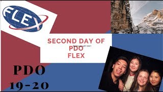 PDO (vlog/II part)- Pre-Depature orientation / FLEX / EMERY